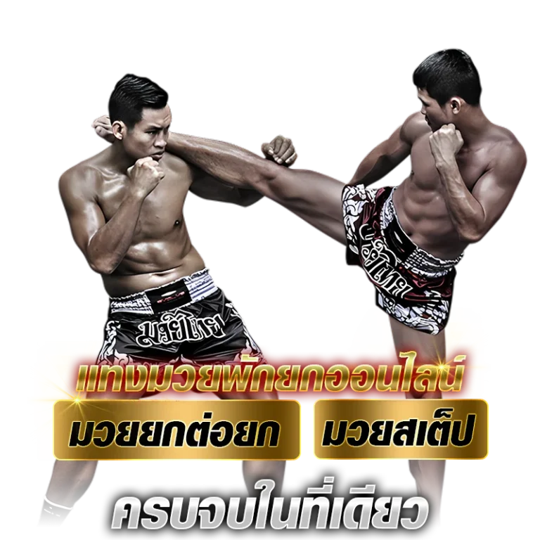 แทงมวยพักยกออนไลน์